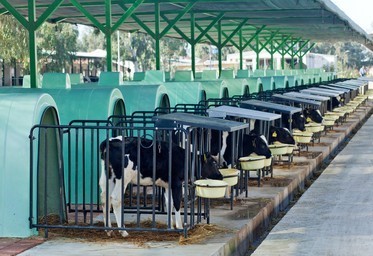 տեխնիկա և սարքավորումներ խելացի անասնագոմերի համար все для смарт коровник everything for a smart barn